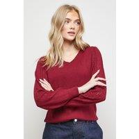 Oasis Women's V Neck Scallop Detail Bow Pointelle Jumper in Cranberry | Size: XS