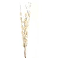 Hill Interiors Bouquet Of Dried Thlaspi Arvense Artificial Flower in White