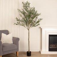 Scottish Everlastings Ltd 190cm Olive Tree in Green
