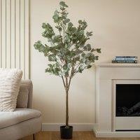 Scottish Everlastings Ltd 150cm Eucalyptus Tree in Green