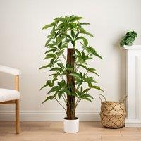 Scottish Everlastings Ltd 120cm Real Touch Climbing Schefflera / Umbrella Plant in White Pot in Green