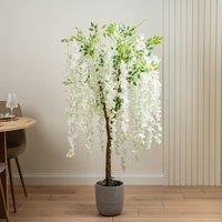 Scottish Everlastings Ltd 150cm Cream Wisteria Tree
