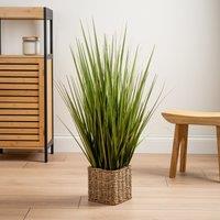 Scottish Everlastings Ltd 85cm Grass in Seagrass Square Pot in Green