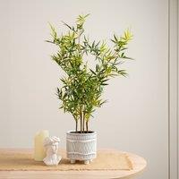 Scottish Everlastings Ltd 75cm Mini-leaf Bamboo Tree in Green