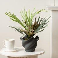 Scottish Everlastings Ltd 53cm Sea Greens in Cement Shell Pot in Green