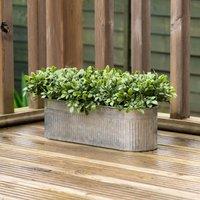 Scottish Everlastings Ltd 51x23cm Boxwood Trough UV in Green | Size: 51x23 cm