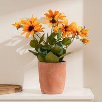Scottish Everlastings Ltd 33cm Orange Rudbeckia in Terracotta Pot