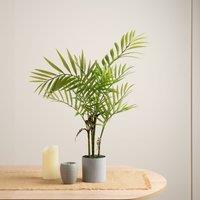Scottish Everlastings Ltd 66cm Palm in Grey Plastic Pot in Green