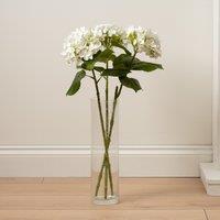 Scottish Everlastings Ltd 64cm Hydrangea Stem Pack 3 in White