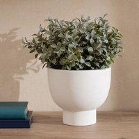 Scottish Everlastings Ltd 37cm Foliage in Footed Pot in Green