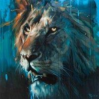 Frank Pretorius Lion Framed Canvas Print in Mid Blue