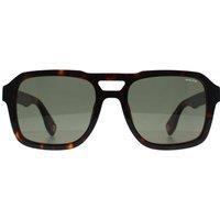 Police Men's Square Shiny Dark Havana Green SPLN65 Forever 2 in Brown