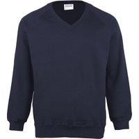 Maddins Men's Coloursure V-Neck Sweatshirt in Navy | Size: Medium