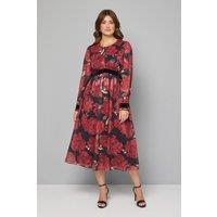 Wallis Women's Floral Contrast Velvet Midi Dress in Black | Size: 14