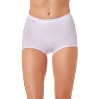 Camille Women's Three Pack Cotton Maxi Briefs in White | Size: 14