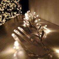 Samuel Alexander 960 LED 12m Premier Cluster Indoor Outdoor Multi Function Mains Operated Christmas Lights with Timer on Clear Cable in Warm White
