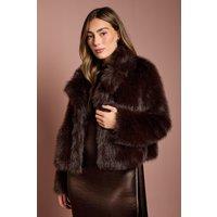 Coast Women's Chocolate Occasion Short Faux Fur Coat | Size: 18