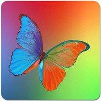 Warren Reed - Designer Vibrant Butterfly Coasters - Set of 4 in Blue