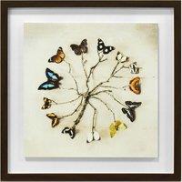 Ian Winstanley Butterfly Harmony Wood Framed Plaque