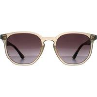 Ted Baker Men's Round Transparent Grey & Havana Brown Gradient TB1655 Dock