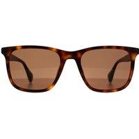 Ted Baker Men's Square Gloss Dark Tortoise Brown TB1724 Jacobe
