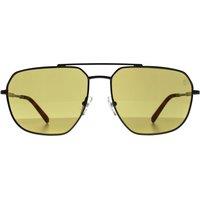 Aviator Shiny Dark Nickeltin Brown Polarized TB00009 Sunglasses
