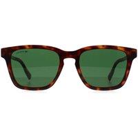 Lacoste Men's Square Tortoise Green L987S in Brown