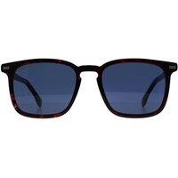 Hugo Boss Men's Square Havana Blue BOSS 1364/S in Brown