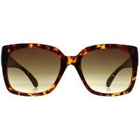 CALVIN KLEIN Women's Square Shiny Havana Brown Gradient CK22549S