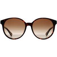 Kate Spade Women's Round Havana Brown Gradient Eliza/F/S