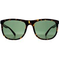 CALVIN KLEIN Women's Square Shiny Havana Green CK22557S in Brown