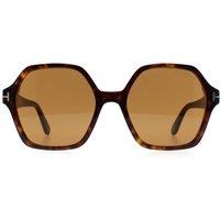 Tom Ford Women's Square Dark Havana Brown Romy FT1032