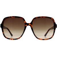 Guess Women's Butterfly Dark Havana Brown Gradient GF6203