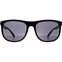 CALVIN KLEIN Women's Square Black Grey CK22557S