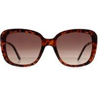 Guess Women's Butterfly Dark Havana Brown Gradient GF6138