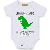 60 SECOND MAKEOVER Granddaughtasaurus Dinosaur Baby Grow in White | Size: 0-3 m