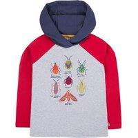 Frugi Boy's Compass Hooded Top in Grey | Size: 2-3 Years