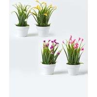 Homescapes Set of 4 Multi-Coloured Artificial Calla Lilies in White Pots