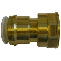 John Guest Brass Cylinder Adaptor 22 x 1" Female in Gold