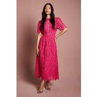 Coast Women's Short Sleeve Collared Lace Midi Dress in Raspberry | Size: 10
