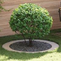 Berkfield Home Stainless Steel Planter Stainless Steel Large in Silver