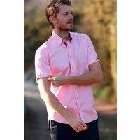 CLAUDIO LUGLI Men's Classic Satin Cotton Short Sleeve Shirt Pegasus Edition in Pink | Size: Large