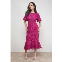 Oasis Women's Lace Trim Detail Puff Sleeve Peplum Midi Dress in Purple | Size: 8