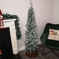 Samuel Alexander 5.5ft (1.7m) Premier Snow Flocked Spruce Pine Slim Christmas Tree in Green