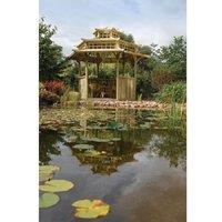 Rowlinsons Oriental Pagoda - L329 x W402.5 x H332 cm in Brown