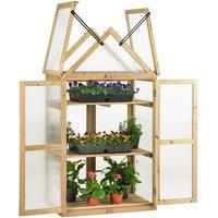 Christow Cold Frame Garden Greenhouse Wooden Polycarbonate Lean To Growhouse in Brown