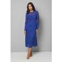 Wallis Women's Lace Fit & Flare Midi Dress in Cobalt | Size: 18