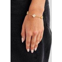 Cernucci Women's Iced Motif Rolo Link Bracelet - 12mm in Metallic Gold | Size: 6 inches