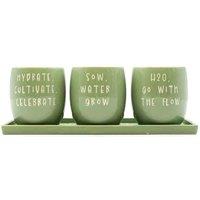 Upper Street Home Set Of 3 Ceramic Flower Pots On Tray, Green Slogan Design Planters, Plant Pot Display, Indoor Plant Containers in Light Green