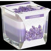 KDMD Rainbow Jar Candle - Lavender in Purple